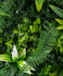 GloboStar® Artificial Garden JUNGLE FERN 20351 Τεχνητό Διακοσμητικό Πάνελ Φυλλωσιάς – Κάθετος Κήπος σύνθεση Ζούγκλα Φτέρης Μ100 x Π100 x Υ20cm