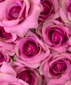 GloboStar® Artificial Garden ROSES STORY 20357 Τεχνητό Διακοσμητικό Πάνελ Λουλουδιών – Κάθετος Κήπος σύνθεση Βυσσινί Τριαντάφυλλα Μ40 x Π60 x Υ15cm