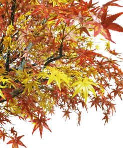 GloboStar® Artificial Garden AUTUMN MAPLE TREE 20360 Τεχνητό Διακοσμητικό Δέντρο Φθινοπωρινός Σφένδαμος Υ350cm