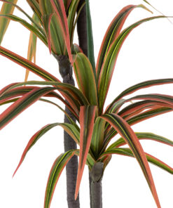 GloboStar® Artificial Garden DRAGON BLOOD TREE 20370 Τεχνητό Διακοσμητικό Φυτό Δράκαινα Υ150cm
