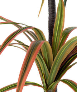 GloboStar® Artificial Garden DRAGON BLOOD TREE 20372 Τεχνητό Διακοσμητικό Φυτό Δράκαινα Υ180cm