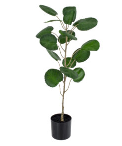 GloboStar® Artificial Garden POLYSCIAS BALFOURIANA TREE 20373 Τεχνητό Διακοσμητικό Φυτό Πολυσκιά Υ70cm