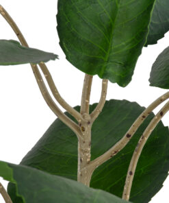 GloboStar® Artificial Garden POLYSCIAS BALFOURIANA TREE 20373 Τεχνητό Διακοσμητικό Φυτό Πολυσκιά Υ70cm