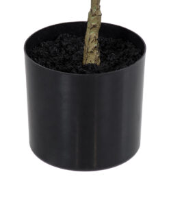 GloboStar® Artificial Garden POLYSCIAS BALFOURIANA TREE 20373 Τεχνητό Διακοσμητικό Φυτό Πολυσκιά Υ70cm