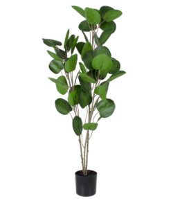 GloboStar® Artificial Garden POLYSCIAS BALFOURIANA TREE 20374 Τεχνητό Διακοσμητικό Φυτό Πολυσκιά Υ110cm