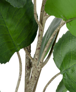 GloboStar® Artificial Garden POLYSCIAS BALFOURIANA TREE 20374 Τεχνητό Διακοσμητικό Φυτό Πολυσκιά Υ110cm