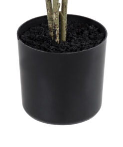 GloboStar® Artificial Garden POLYSCIAS BALFOURIANA TREE 20374 Τεχνητό Διακοσμητικό Φυτό Πολυσκιά Υ110cm