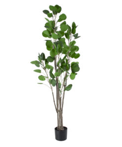 GloboStar® Artificial Garden POLYSCIAS BALFOURIANA TREE 20375 Τεχνητό Διακοσμητικό Φυτό Πολυσκιά Υ180cm