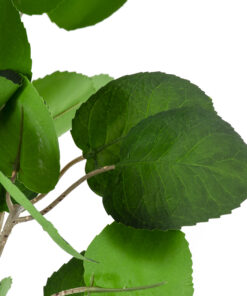 GloboStar® Artificial Garden POLYSCIAS BALFOURIANA TREE 20375 Τεχνητό Διακοσμητικό Φυτό Πολυσκιά Υ180cm