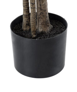 GloboStar® Artificial Garden POLYSCIAS BALFOURIANA TREE 20375 Τεχνητό Διακοσμητικό Φυτό Πολυσκιά Υ180cm