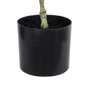 GloboStar® Artificial Garden FICUS RELIGIOSA TREE 20376 Τεχνητό Διακοσμητικό Φυτό Ιερή Συκή Υ50cm