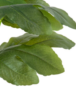 GloboStar® Artificial Garden FIG TREE 20380 Τεχνητό Διακοσμητικό Φυτό Συκιά Υ50cm