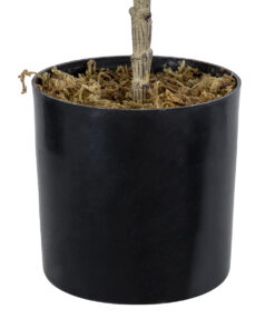 GloboStar® Artificial Garden FIG TREE 20380 Τεχνητό Διακοσμητικό Φυτό Συκιά Υ50cm