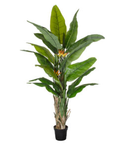 GloboStar® Artificial Garden BANANA STRELITZIA REGINAE 20381 Τεχνητό Διακοσμητικό Φυτό Μπανανιά – Στρελίτσια – Πουλί του Παραδείσου Υ230cm