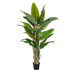 GloboStar® Artificial Garden BANANA STRELITZIA REGINAE 20381 Τεχνητό Διακοσμητικό Φυτό Μπανανιά – Στρελίτσια – Πουλί του Παραδείσου Υ230cm