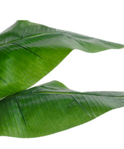 GloboStar® Artificial Garden BANANA STRELITZIA REGINAE 20381 Τεχνητό Διακοσμητικό Φυτό Μπανανιά – Στρελίτσια – Πουλί του Παραδείσου Υ230cm