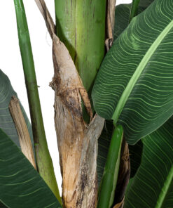 GloboStar® Artificial Garden BANANA TREE 20382 Τεχνητό Διακοσμητικό Φυτό Μπανανιά Υ300cm
