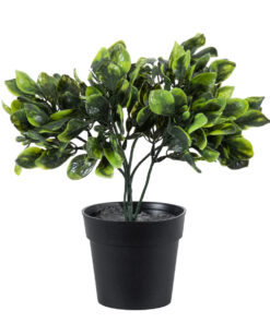 GloboStar® Artificial Garden ANUBIA BARTERI 20390 Τεχνητό Διακοσμητικό Φυτό Ανούμπια Υ30cm