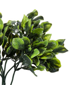 GloboStar® Artificial Garden ANUBIA BARTERI 20390 Τεχνητό Διακοσμητικό Φυτό Ανούμπια Υ30cm