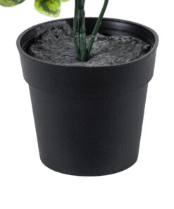 GloboStar® Artificial Garden ANUBIA BARTERI 20390 Τεχνητό Διακοσμητικό Φυτό Ανούμπια Υ30cm