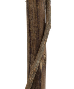 GloboStar® Artificial Garden BUXUS 20399 Τεχνητό Διακοσμητικό Φυτό Πυξός Υ120cm