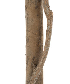 GloboStar® Artificial Garden BUXUS 20406 Τεχνητό Διακοσμητικό Φυτό Πυξός Υ90cm