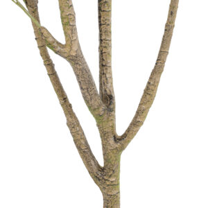 GloboStar® Artificial Garden OLIVE TREE 20423 Τεχνητό Διακοσμητικό Δέντρο Ελιά Υ170cm