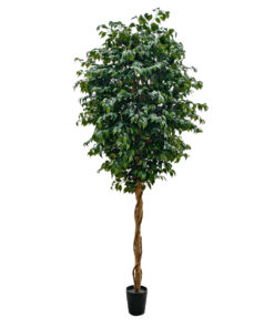 GloboStar® Artificial Garden FICUS BENJAMINA TREE 20432 Τεχνητό Διακοσμητικό Φυτό Φίκος Μπενζαμίνη Υ300cm