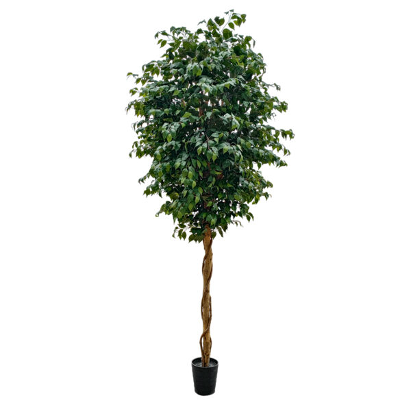 GloboStar® Artificial Garden FICUS BENJAMINA TREE 20432 Τεχνητό Διακοσμητικό Φυτό Φίκος Μπενζαμίνη Υ300cm