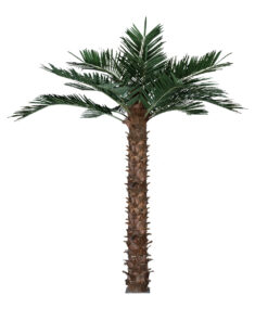 GloboStar® Artificial Garden COCONUT PALM TREE 20436 Τεχνητό Διακοσμητικό Φοινικόδεντρο Κοκοφοίνικας Υ600cm