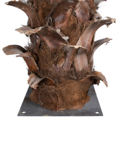 GloboStar® Artificial Garden COCONUT PALM TREE 20436 Τεχνητό Διακοσμητικό Φοινικόδεντρο Κοκοφοίνικας Υ600cm