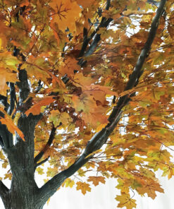 GloboStar® Artificial Garden ACER RUBRUM SYCAMORE TREE 20437 Τεχνητό Διακοσμητικό Δέντρο Κόκκινος Σφένδαμος Υ400cm