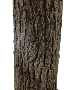 GloboStar® Artificial Garden ACER RUBRUM SYCAMORE TREE 20437 Τεχνητό Διακοσμητικό Δέντρο Κόκκινος Σφένδαμος Υ400cm