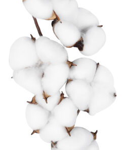 GloboStar® Artificial Garden COTTON BRANCH 20558 Τεχνητό Διακοσμητικό Κλαδί βαμβάκι Υ45cm