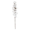 GloboStar® Artificial Garden COTTON BRANCH 20559 Τεχνητό Διακοσμητικό Κλαδί βαμβάκι Y55cm