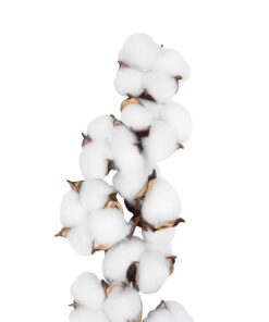 GloboStar® Artificial Garden COTTON BRANCH 20559 Τεχνητό Διακοσμητικό Κλαδί βαμβάκι Y55cm