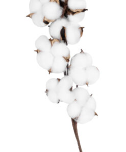 GloboStar® Artificial Garden COTTON BRANCH 20559 Τεχνητό Διακοσμητικό Κλαδί βαμβάκι Y55cm