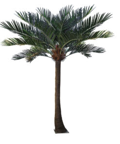 GloboStar® Artificial Garden COCONUT PALM TREE 20594 Τεχνητό Διακοσμητικό Φοινικόδεντρο Κοκοφοίνικας Υ500cm