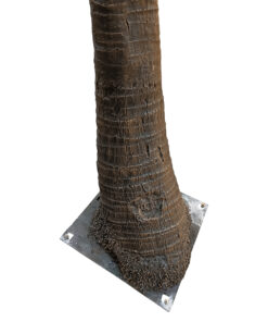 GloboStar® Artificial Garden COCONUT PALM TREE 20594 Τεχνητό Διακοσμητικό Φοινικόδεντρο Κοκοφοίνικας Υ500cm