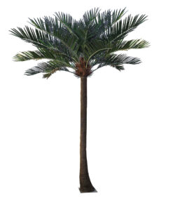 GloboStar® Artificial Garden COCONUT PALM TREE 20595 Τεχνητό Διακοσμητικό Φοινικόδεντρο Κοκοφοίνικας Υ600cm