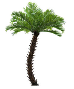 GloboStar® Artificial Garden PHOENIX ROEBELENII PALM TREE 20596 Τεχνητό Διακοσμητικό Φυτό Φοινικόδεντρο Ρομπελίνι Εξωτερικού Χώρου IP68 UV Certified Protection Υ500cm