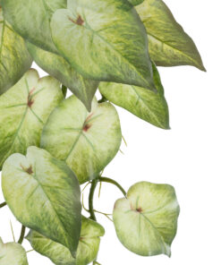 GloboStar® Artificial Garden SYNGONIUM HANGING PLANT 20598 Τεχνητό Διακοσμητικό Κρεμαστό Φυτό Συγκόνιο Υ50cm