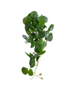 GloboStar® Artificial Garden HANGING PEPEROMIA 20599 Τεχνητό Διακοσμητικό Κρεμαστό Φυτό Πεπερόμια Μ30 x Π31 x Υ50cm