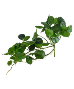 GloboStar® Artificial Garden HANGING PEPEROMIA 20599 Τεχνητό Διακοσμητικό Κρεμαστό Φυτό Πεπερόμια Μ30 x Π31 x Υ50cm