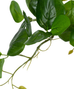 GloboStar® Artificial Garden HANGING PEPEROMIA 20599 Τεχνητό Διακοσμητικό Κρεμαστό Φυτό Πεπερόμια Μ30 x Π31 x Υ50cm