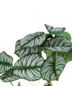 GloboStar® Artificial Garden HANGING ALOCASIA 20601 Τεχνητό Διακοσμητικό Κρεμαστό Φυτό Αλοκάσια Μ28 x Π27 x Υ50cm