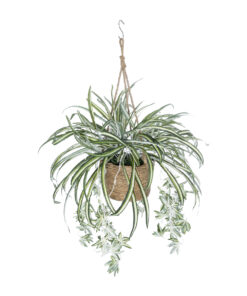 GloboStar® Artificial Garden CHLOROPHYTUM COMOSUM HANGING PLANT 20638 Τεχνητό Κρεμαστό Διακοσμητικό Χλωρόφυτο Y50cm