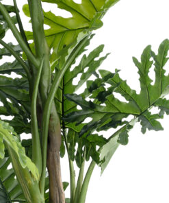 GloboStar® Artificial Garden PHILODENDRON 20684 Τεχνητό Διακοσμητικό Φυτό Φυλλόδενδρο Υ150cm