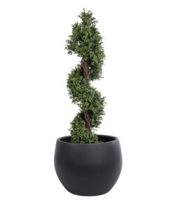 GloboStar® Artificial Garden VITORIA 20701 Διακοσμητικό Πολυεστερικό Τσιμεντένιο Κασπώ Γλάστρα – Flower Pot Μαύρο Φ55 x Υ40cm