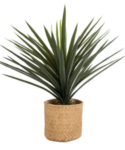 GloboStar® Artificial Garden MEDRANO 20799 ΣΕΤ 2 Διακοσμητικά Πολυεστερικά Τσιμεντένιά Κασπώ Γλάστρες – Flower Pots Μπεζ A:Φ25 x Υ23cm B:Φ25 x Υ23cm